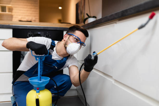 Best Insect Control  in Goldendale, WA
