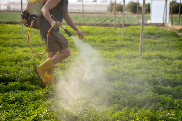 Trusted Goldendale, WA Pest Control Experts