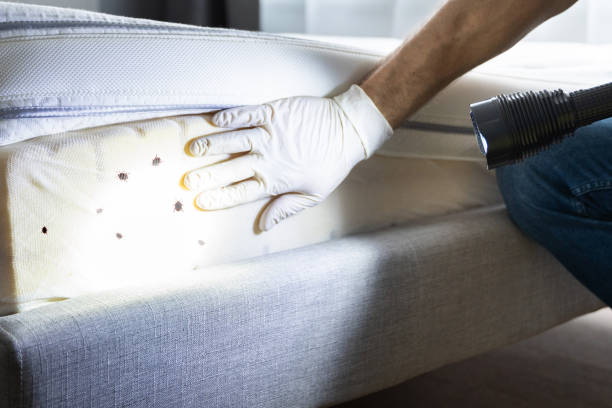 Best Pest Prevention Services  in Goldendale, WA